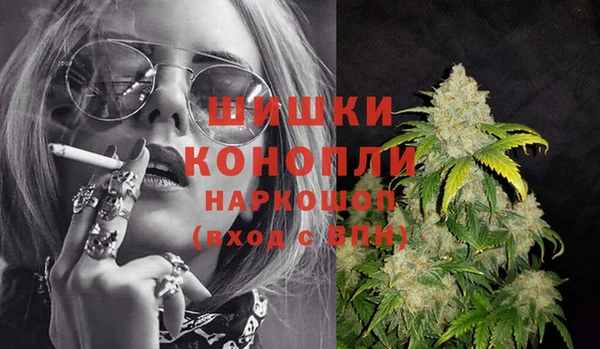 ешки Новозыбков