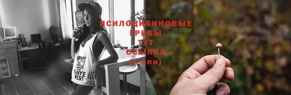 трава Нефтекумск