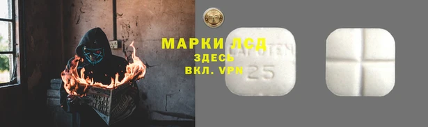 твердый Новодвинск