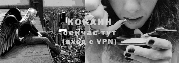 трава Нефтекумск