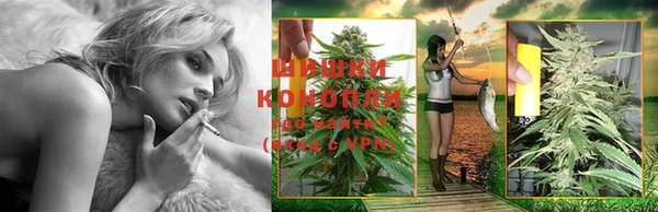 трава Нефтекумск