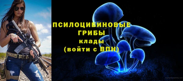 ешки Новозыбков